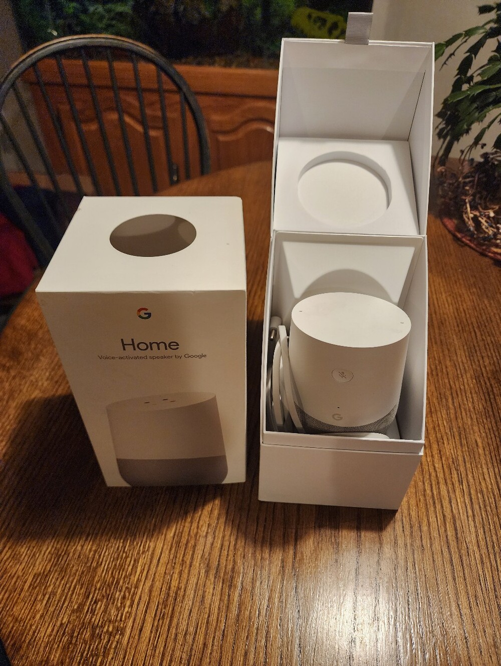 Google Home Assistant
